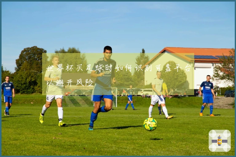 世界杯买足球时如何识别可靠平台以避开风险